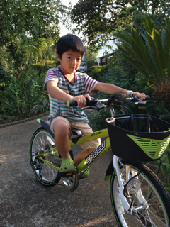 image-20131013231950.png