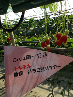 image-20140111101111.png